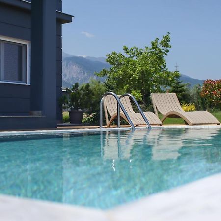 Zeusplace Pool Villa Olympus Riviera Litóhoro Kültér fotó